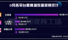 视频播放量,播放量突破百万！揭秘热门视频背后的故事