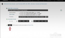 Youtube视频下载器,使用YouTube视频下载器轻松获取热门内容