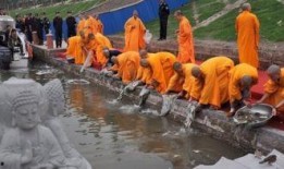 放生视频,人与自然和谐共生的美好瞬间